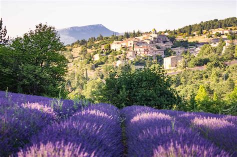 Best Lavender Fields of Provence, France - 2020 Guide!