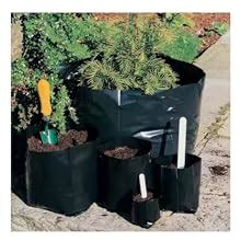 Groot Nursery Bags for Plants (Medium, 6 x 8 Inches, Pack of 100, Black ...
