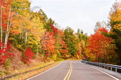 Fall Views Worth Peeping - Northeast Tennessee