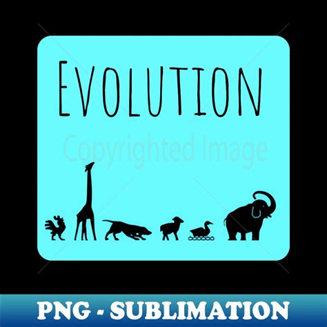 Evolution PNG 的图像结果