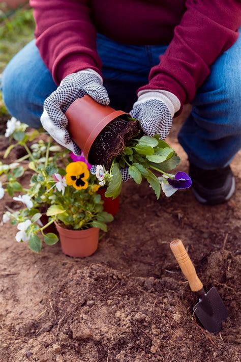 Gardening Images - Free Download on Freepik