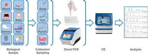 How to Process a DNA Sample 的图像结果
