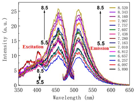 A Ratiometric Fluorescence Nano pH Biosensor for Live-Cell Imaging ...