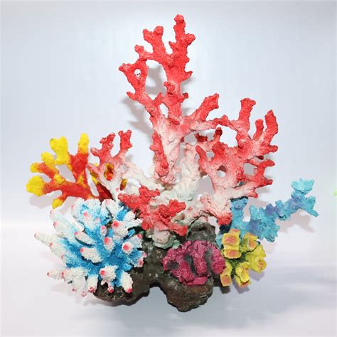 6 in 1 Imported coral Set – Veda Aquarium