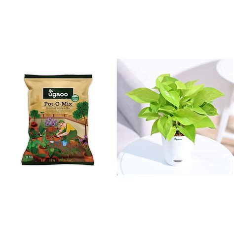 Ugaoo Pot-O-Mix Potting Soil with Fertilizer for Home Garden Plants - 5 ...