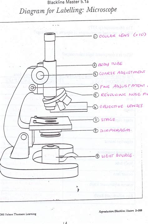 Image result for Microscope Basic Drawing