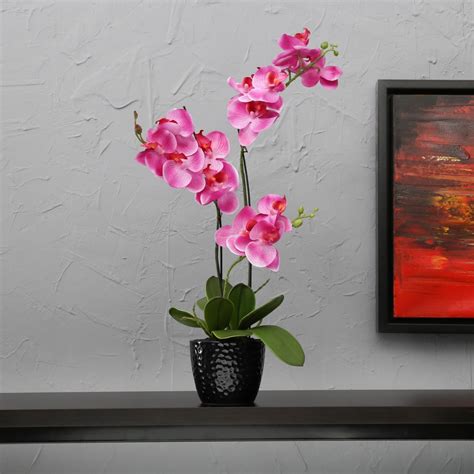 Buy Sachi Potted Orchid in Ceramic Pot from Home Centre at just INR 1299.0