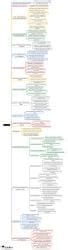 Immunity -2 Mind Map - NEET PG Pathology PDF Download