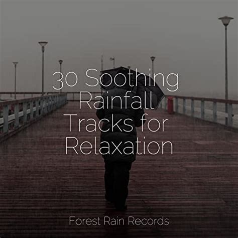 30 Soothing Rainfall Tracks for Relaxation by Pet Care Music Therapy ...