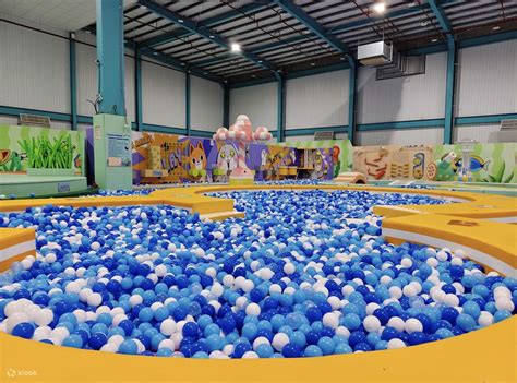 Mochi Usagi Ocean Adventure Island - Klook India