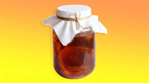Can You Drink Kombucha While Pregnant?