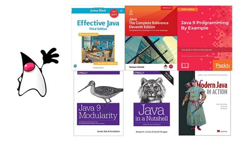 Image result for Java Programming Language Text Books