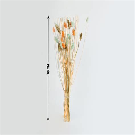 Buy Splendid Artificial Phalaris Bunch from Home Centre at just INR 499.0