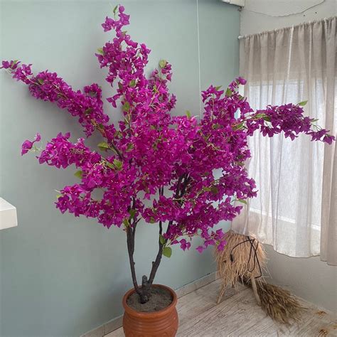 HOTEL MARINA (Kolios, Skiathos) - Apartment Reviews, Photos, Rate ...