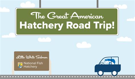 Hatchery-Road-Trip-Representative-Image-Little-White-Salmon | FWS.gov
