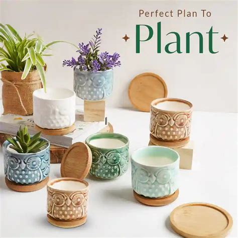 Choosing the Right Ceramic Planters: A Guide to Styles and Maintenance ...