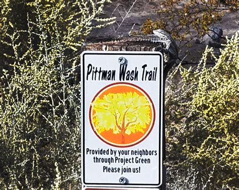Pittman Wash Trails