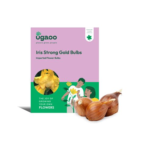 Buy Premium Flower Bulbs Online In India | Best plant bulbs – Ugaoo