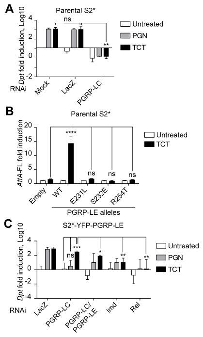 Slc46 Structure 的图像结果