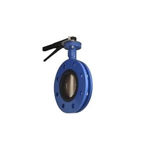 Ahmedabad's Trusted DOUBLE FLANGE CENTRIC DISC TYPE BUTTERFLY VALVE ...