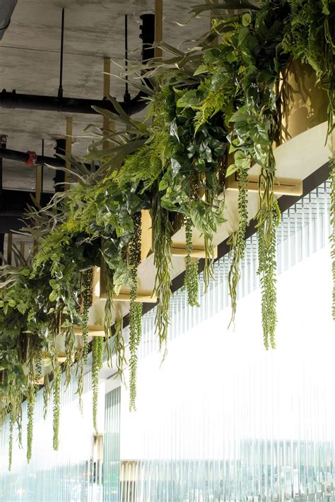 How To Hang Plants From Ceiling Apartment at Christian Liao blog