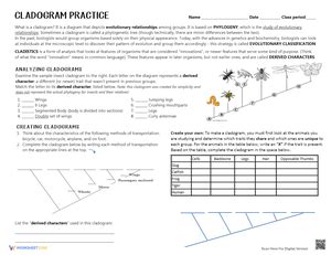 Image result for Cladogram Practice Worksheet