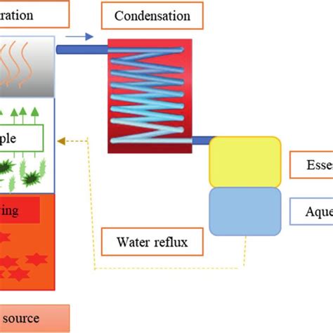 Image result for Essential Oil Process
