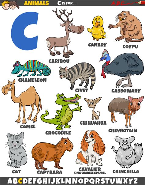cartoon animal characters for letter C educational set 30711623 Vector ...