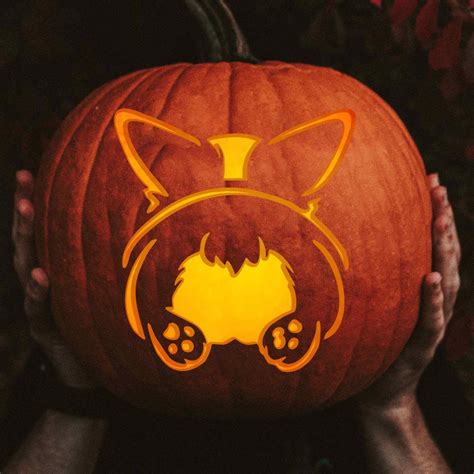 60 Cat Pumpkin Carving: Cute Designs & Free Stencils For Halloween ...
