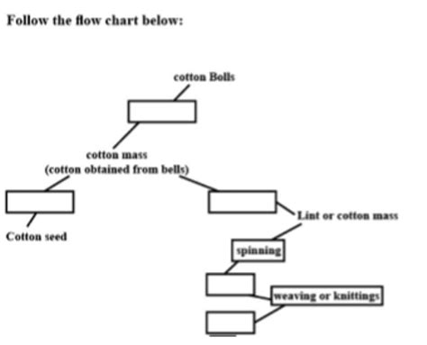 Complete the chart based on the process from cotton plant to cotton ...
