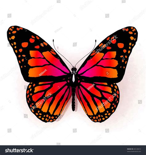 Isolated Butterfly Orange Color On White Stock Illustration 46128412 | Shutterstock