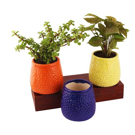 Leafy Tales Honeycomb Design Ceramic Pot Set of 3, Pot Only : Amazon.in ...