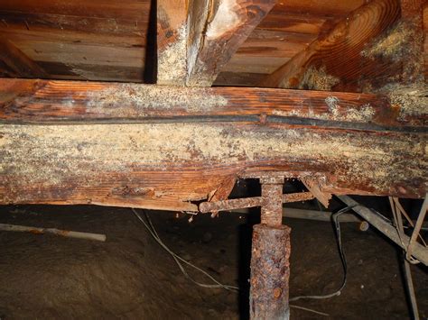 Why You Need Sagging Floor Joist Repair | Groundworks