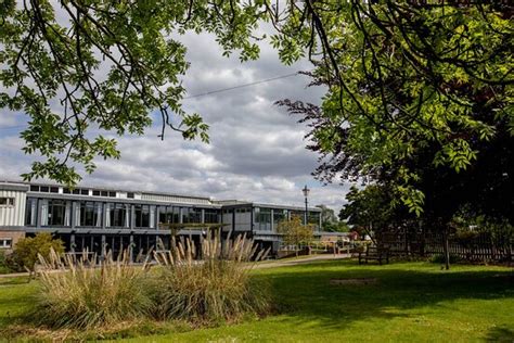 Dancing with Dolly - Jolly Holly Dolly time - Reviews, Photos ...