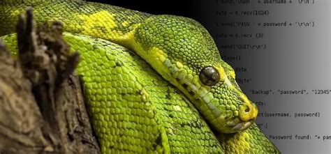 Image result for Python Hack Prank