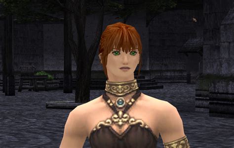 Image result for FFXI Mod