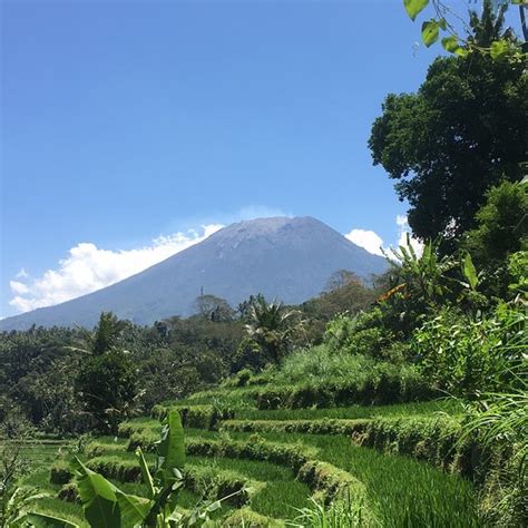 KUSUMA JAYA ON THE HILL (Bali/Karangasem) - Hostel Reviews & Photos ...