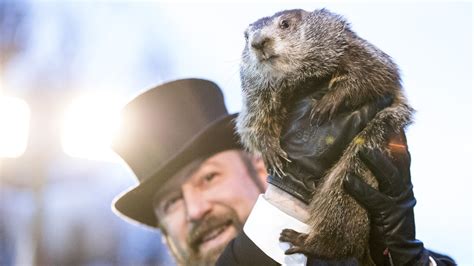 Groundhog Day 2022: Punxsutawney Phil sees his shadow, meaning six more ...
