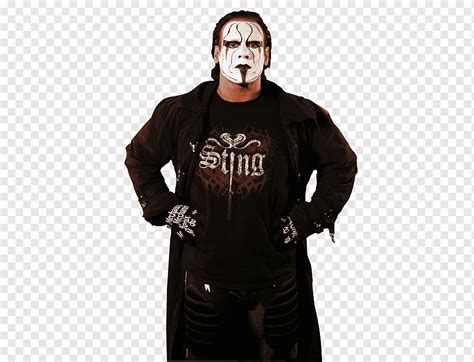 Sting WWE Superstars WWE Championship Professional gulat, Steve Borden ...