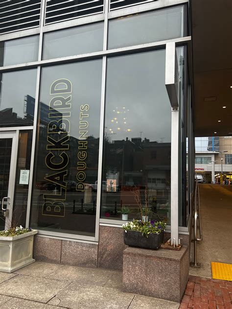 17 Vegan Bakeries in Boston: A Dessert Lover's Delight Awaits ...