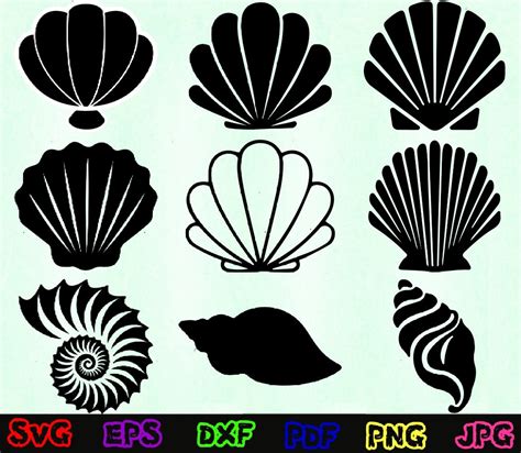 Image result for SeaShell SVG