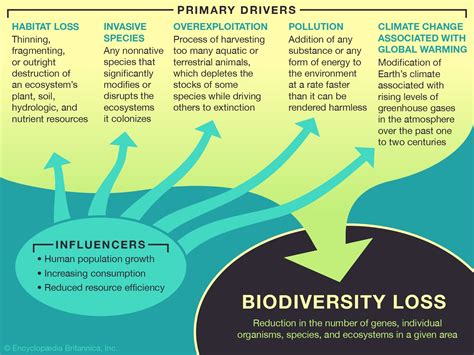 Habitat Fragmentation and Loss: Effects on Biodiversity