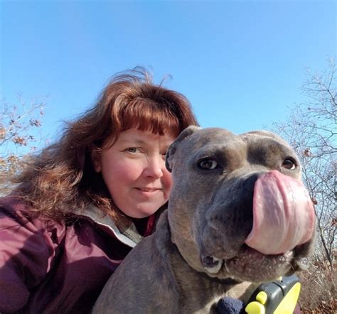 Wrentham Animal Hospital | Wrentham MA Vet