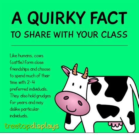 A quirky fact about cows to share with your class - from Treetop ...