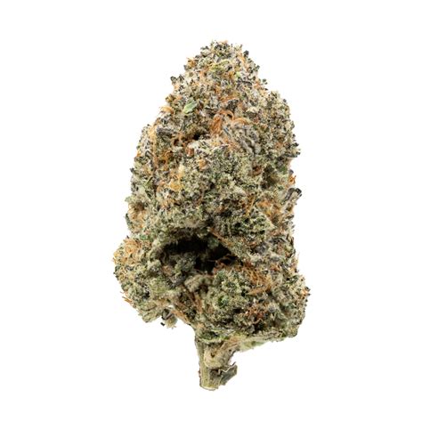 Ice Cream Runtz - Tree of Life Art Dispensary