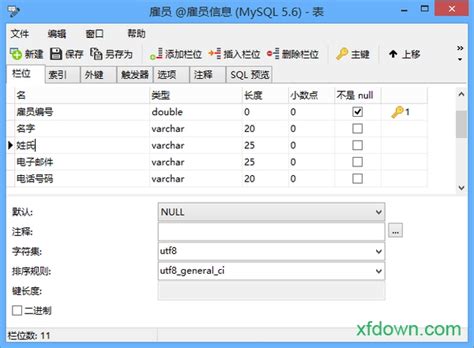 Navicat for MySQL 外观选项设置技巧（下）-Navicat中文网站