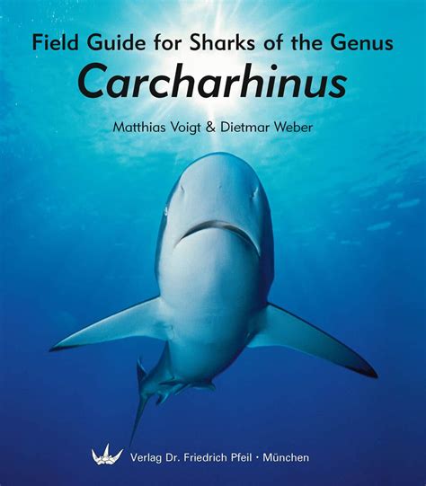 Field Guide for Sharks of the Genus Carcharhinus - Dr. Friedrich Pfeil Publishing