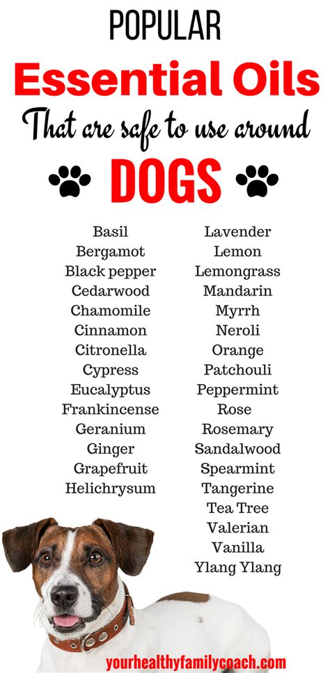 essential oils unsafe for dogs