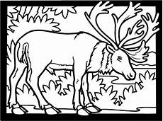 malvorlagen tiere gratis bild elch ausmalbild malvorlage tiere malvorlagen tiere gratis bild elch ausmalbild malvorlage tiere