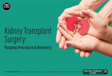 Kidney Transplant Surgery: Purpose, Procedure and Recovery